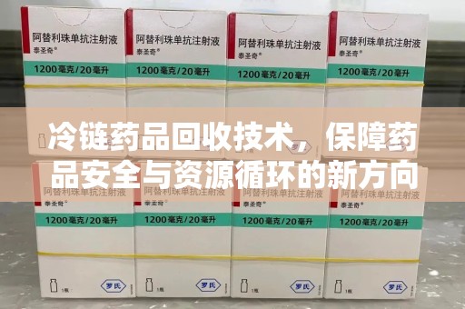江门冷链药品回收技术，保障药品安全与资源循环的新方向