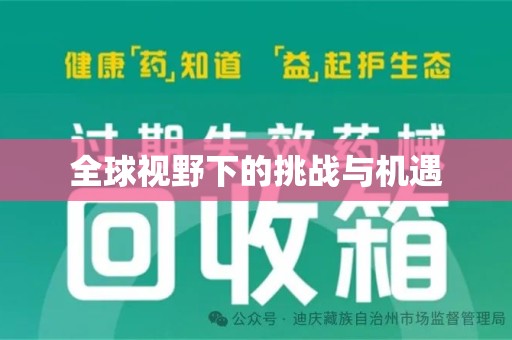江门全球视野下的挑战与机遇
