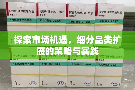 江门探索市场机遇，细分品类扩展的策略与实践