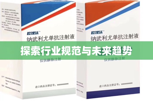 江门探索行业规范与未来趋势