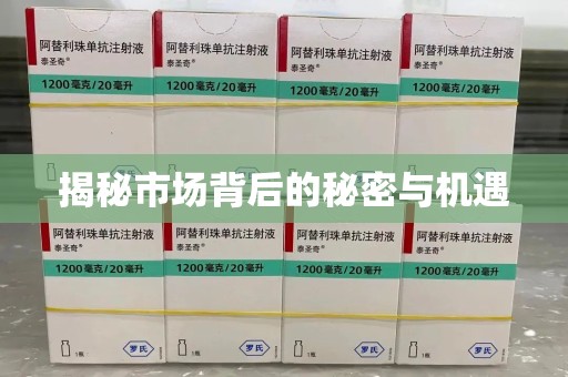 江门揭秘市场背后的秘密与机遇