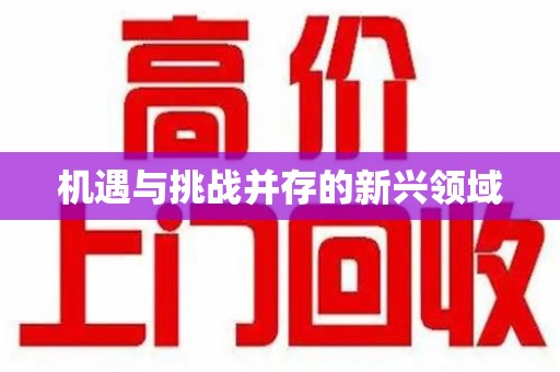 江门机遇与挑战并存的新兴领域