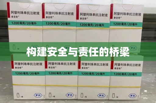 江门构建安全与责任的桥梁
