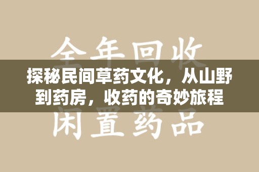 江门探秘民间草药文化，从山野到药房，收药的奇妙旅程
