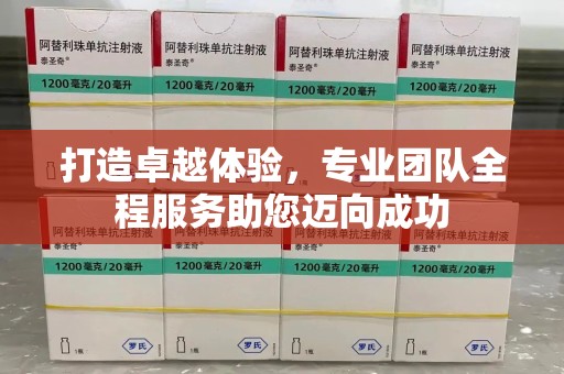 江门打造卓越体验，专业团队全程服务助您迈向成功