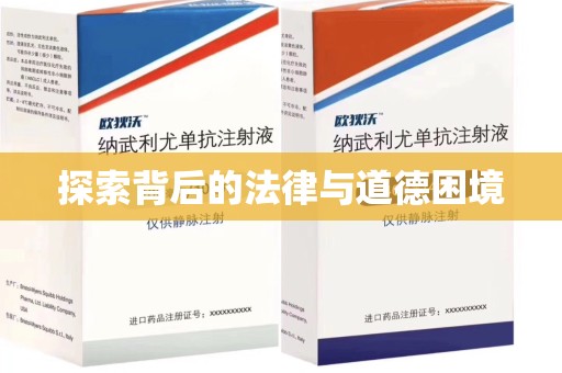 江门探索背后的法律与道德困境